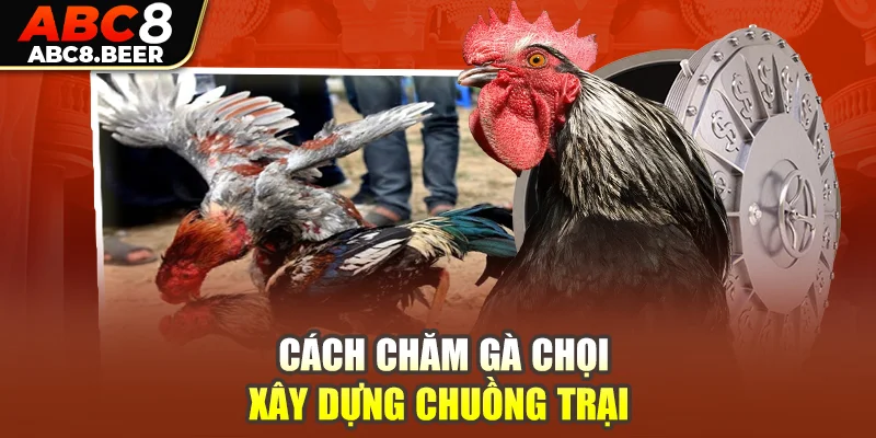 Cách chăm gà chọi - xây dựng chuồng trại 