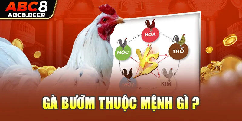 Gà bướm thuộc mệnh gì ?