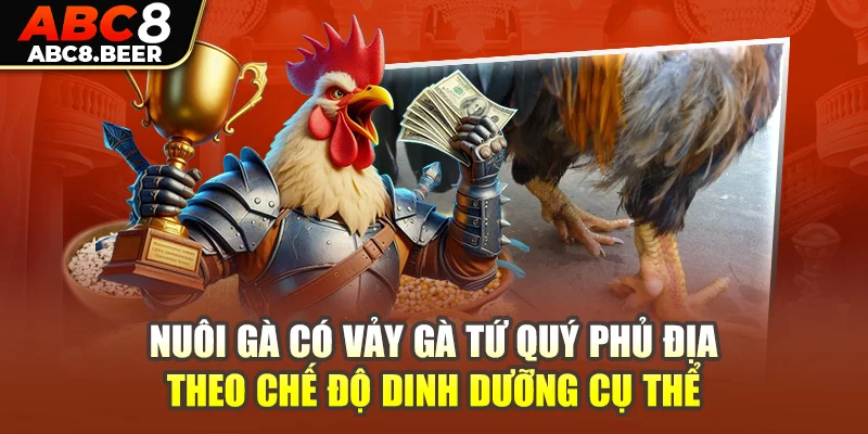 Nuôi gà có vảy gà tứ quý phủ địa theo chế độ dinh dưỡng cụ thể 